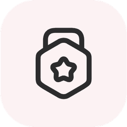 Improves Credit Score